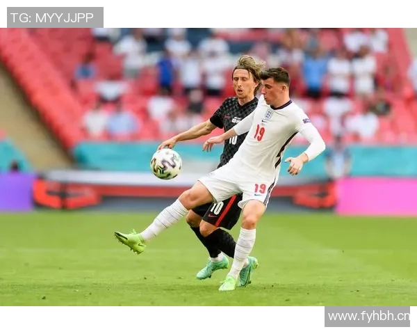 英格兰与比利时精彩对决直播全程回顾与赛后分析